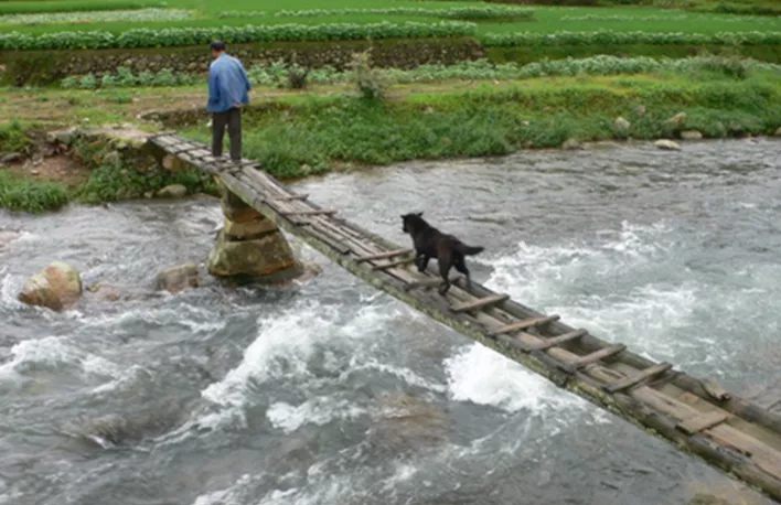 “桥”字杂谭 | 你敢说你认识“桥”字? 5f310cf73f34f.jpg