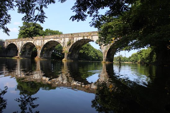 5f1aa8830f421.jpg 5f1aa8830f421.jpg