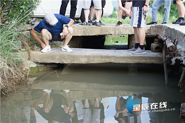 诗话桥丨黄瑾迟:响桥不响人想桥 诗话桥丨黄瑾迟:响桥不响人想桥