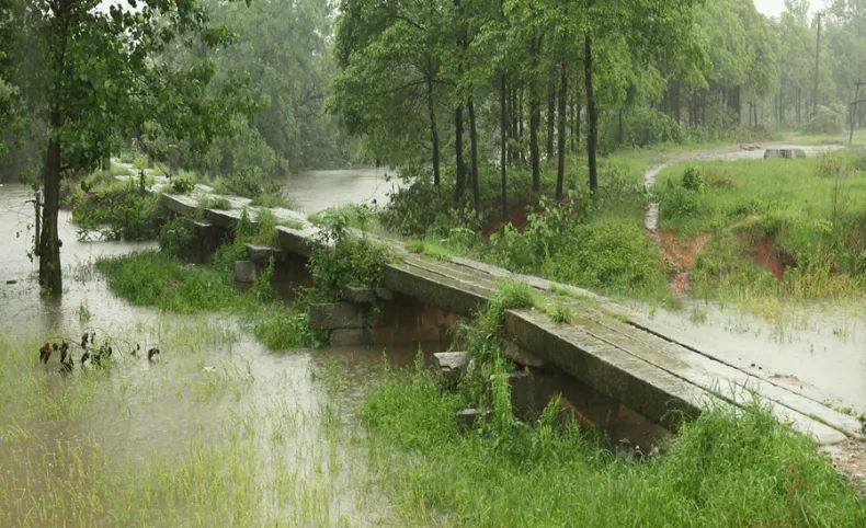 “桥”字杂谭 | 你敢说你认识“桥”字? 5f310cda4ea37.jpg