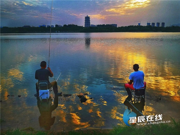 诗话桥丨张群芳:灞桥风雪在,似是故人来 诗话桥丨张群芳:灞桥风雪在,似是故人来