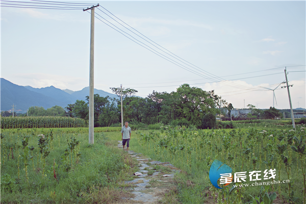 诗话桥丨黄瑾迟:响桥不响人想桥 诗话桥丨黄瑾迟:响桥不响人想桥