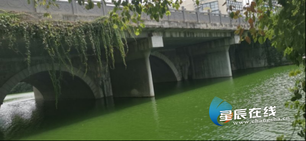 诗话桥 | 姜夔:走不出的赤阑 诗话桥 | 姜夔:走不出的赤阑