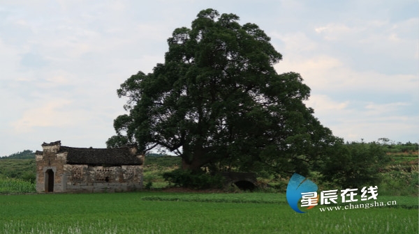 诗话桥 | 安乐桥 诗话桥 | 安乐桥