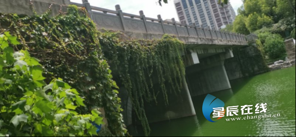 诗话桥 | 姜夔:走不出的赤阑 诗话桥 | 姜夔:走不出的赤阑