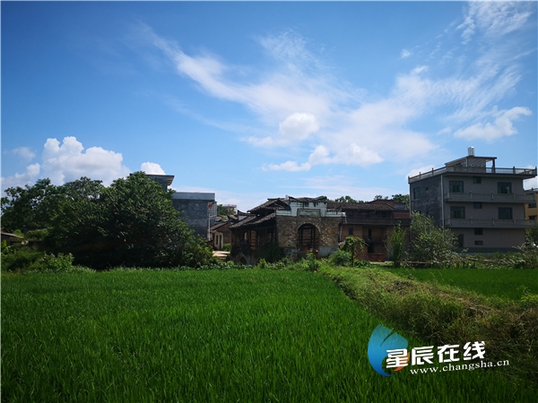 诗话桥丨杨雄心:无语风雨桥 诗话桥丨杨雄心:无语风雨桥