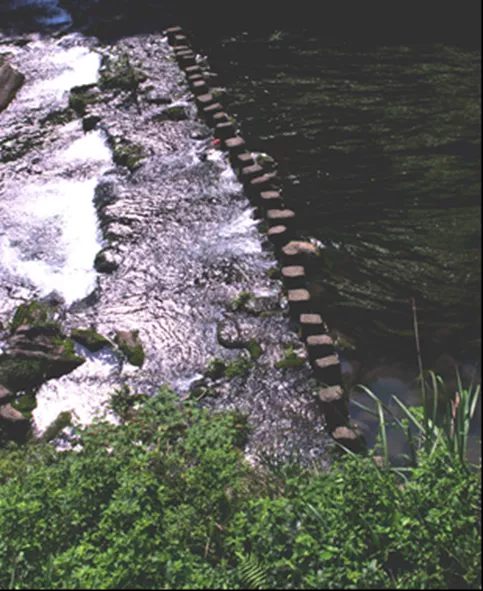 5f310cc6e5a3f.jpg 5f310cc6e5a3f.jpg